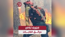 فنزويلا تكافح حرائق الغابات