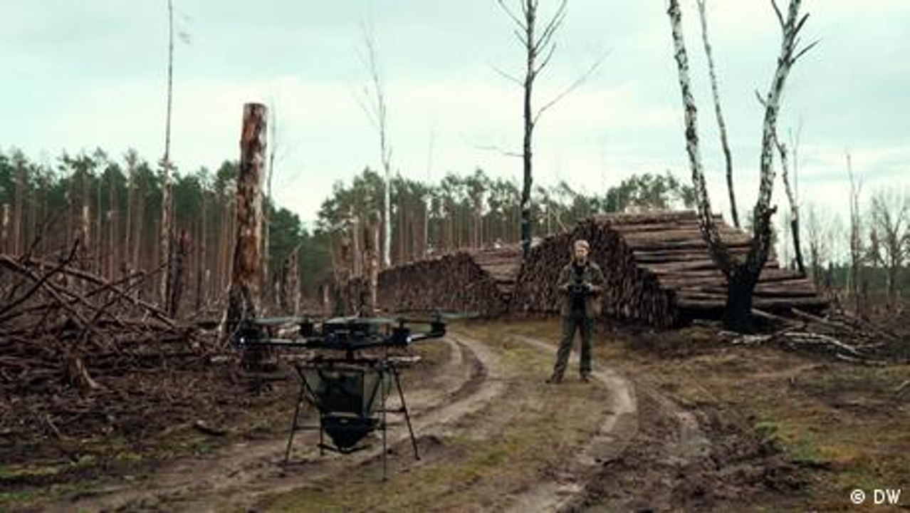 Einsatz aus der Luft: Saatgut per Drohne