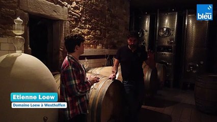 6/6 Processus de création du vin