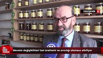 Mevsim değişiklikleri bal üretimini ve arıcılığı olumsuz etkiliyor