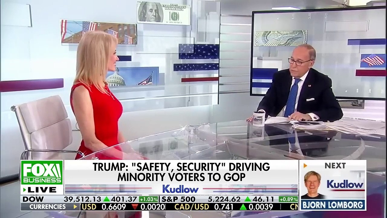 Kellyanne Conway_ The Democrats' mistake is 'coming back to bite them'