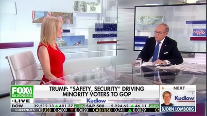 Kellyanne Conway_ The Democrats' mistake is 'coming back to bite them'