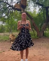 Danced with two lions  Ukutula