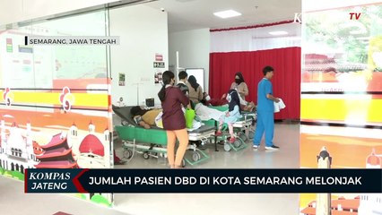 Jumlah Pasien DBD di Kota Semarang Melonjak