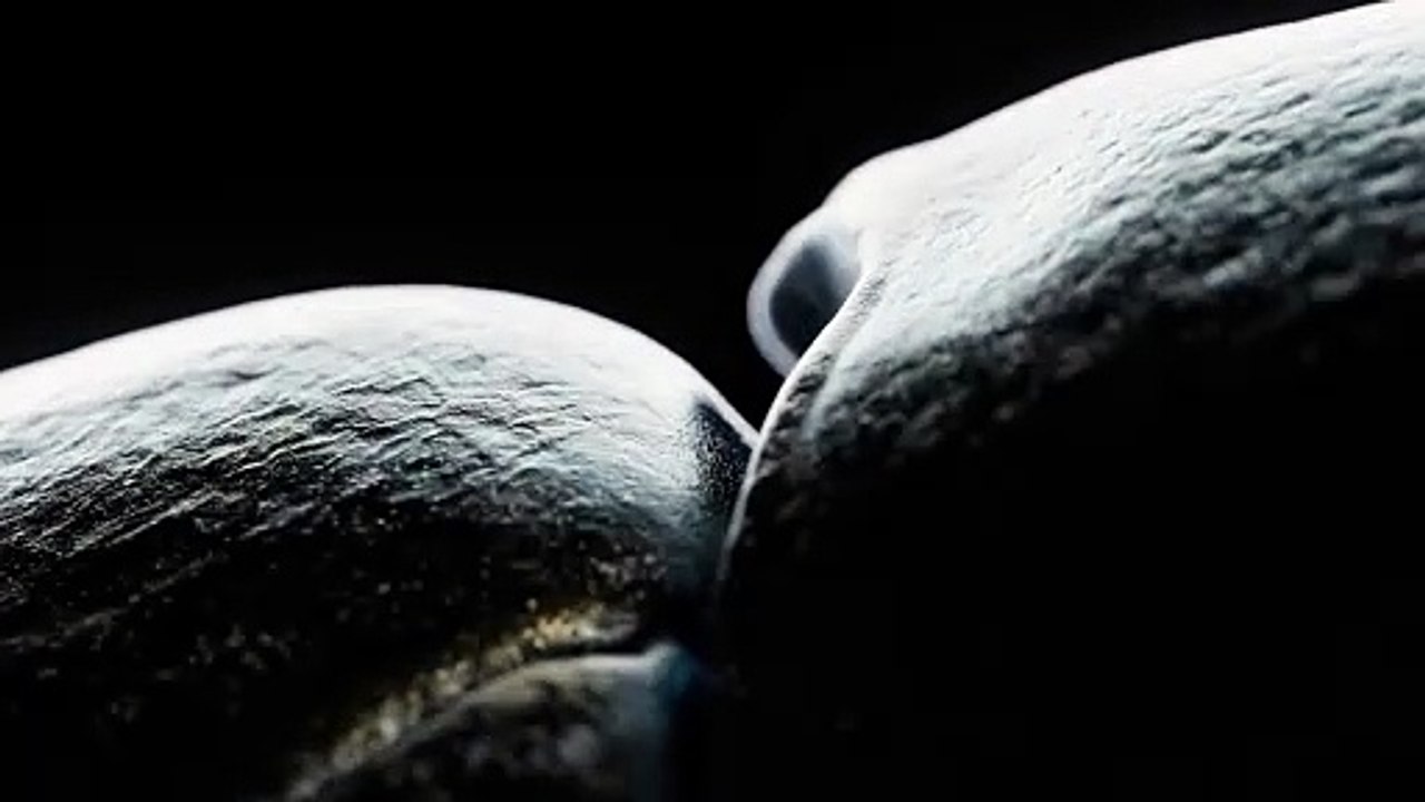 Nothing parece estar prestes a anunciar novos fones sem fios