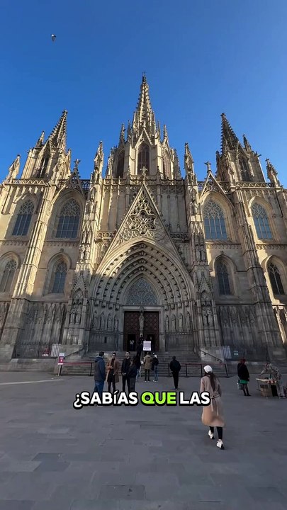 Exterior del museo Frederic Marés