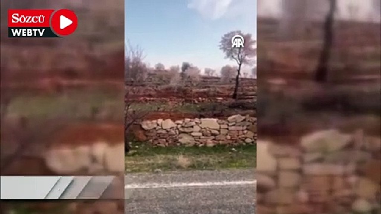 Yiyecek aramak için köye inen kurt görüntülendi