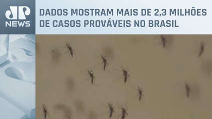 Governo aponta desaceleração nos casos de dengue em alguns estados