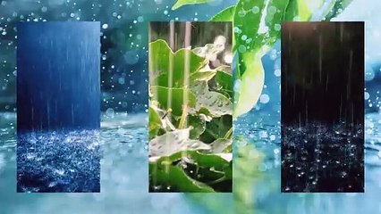 RAINY SOUND || 4K ||HEAVY RAINFALL SOUND || USE FOR DEEP SLEEP AND STUDY PURPOSE