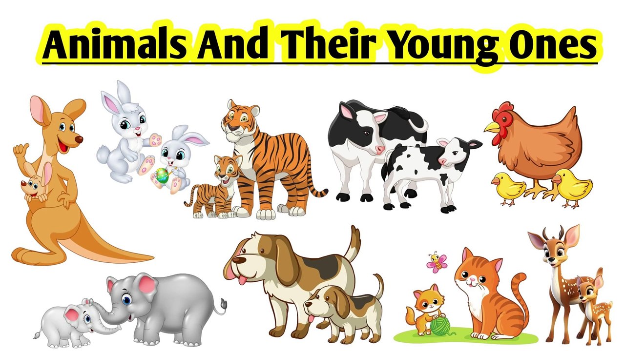 nimals and their young ones | animals and their baby | animals and their babies names in english