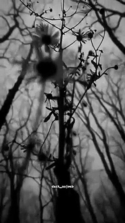 agar_tum_saath_ho_❤️_#fyp_#fypシ_#foryou_#status_#support_#aesthetic_#trend_#love_#unfrezzmyaccount_