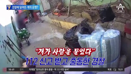경찰에 달려든 개의 운명?