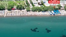 Cumhur İttifakı adayı Tosun, Bodrum'da kıyı işgaline son verecek