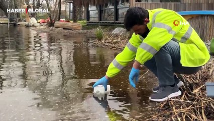 İçerisine akaryakıtın karıştığı Sapanca Gölü'nden yeni gelişme "Su içilebilir"
