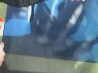 Quartier Vauban (II) La cité solaire