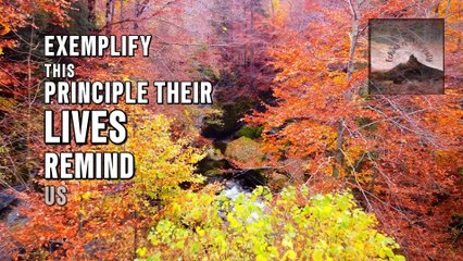 How to Embrace Slow Progress: Insights from Confucian Wisdom