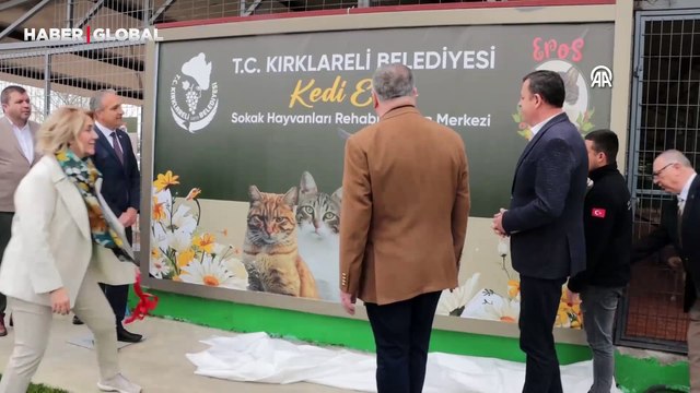 Öldürülen kedi Eros un adı Kırklareli Sokak Hayvanları Rehabilitasyon Merkezine verildi
