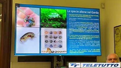 Video News - Sul Garda l'obbligo di sanificare le barche