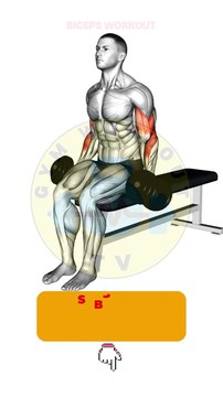 Gym Bicep Workout #bicep #shorts #bicepsworkout #gymworkout