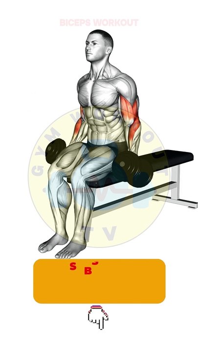 Gym Bicep Workout #bicep #shorts #bicepsworkout #gymworkout