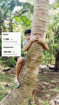 Tree climbing challenge accepted