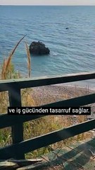 Niximera - Bütçe Yönetim Paneli