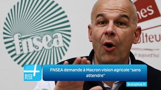 FNSEA demande à Macron vision agricole 