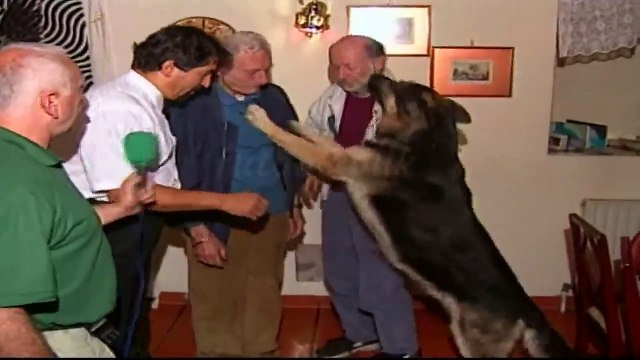 Beşiktaş 1997-98 Şampiyonlar Ligi Serüveni _ Unutulmaz PSG Galibiyeti