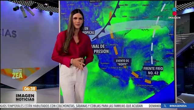 Combaten cuatro incendios forestales en Durango