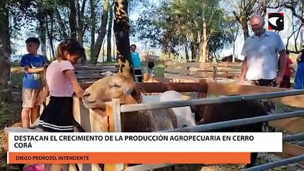 Destacan el crecimiento de la producción agropecuaria en Cerro Corá