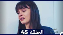 الطبيب المعجزة الحلقة 45 (Arabic Dubbed) HD