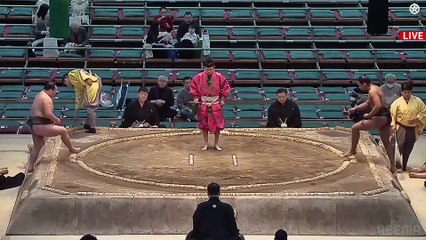 Haru 2024, Sandanme - Day 14