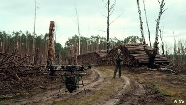 Drones employed to help with reforestation efforts