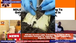 NDLEA Arrests Lady Travelling To Qatar With Cannabis Conceal In 'Abacha', Dried Vegetable, Rejects ₦5m Bribe ~ OsazuwaAkonedo