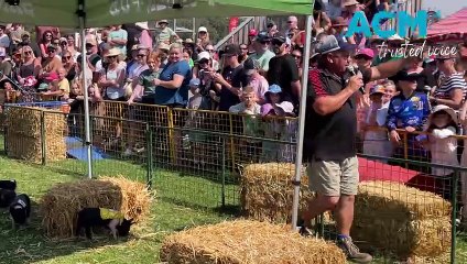 Tathra Pig Day Out, 31.3.24, Bega District News