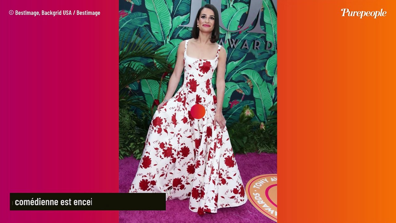 Lea Michele enceinte de son 2e enfant : l'annonce en photos, quelques jours après une date symbolique