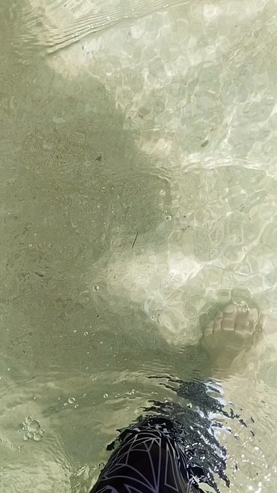 Summer Break