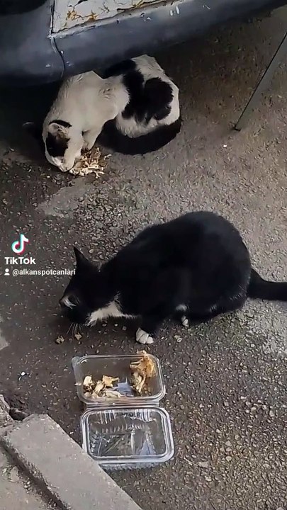 2024-03-28-192214639