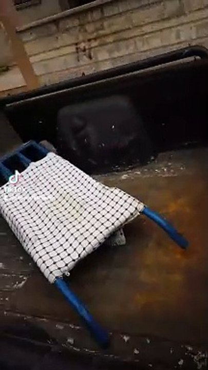 2024-03-27-114246946