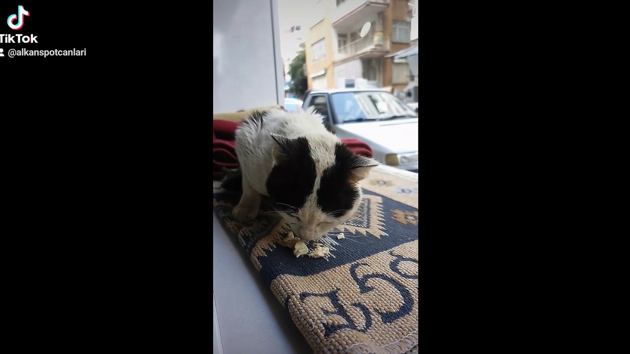 2024-03-23-215633879