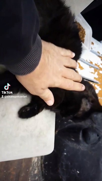 2024-03-25-133920758