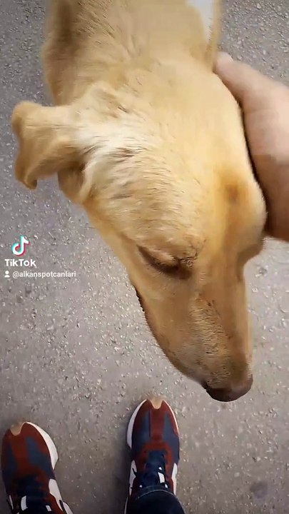 2024-03-19-100543684