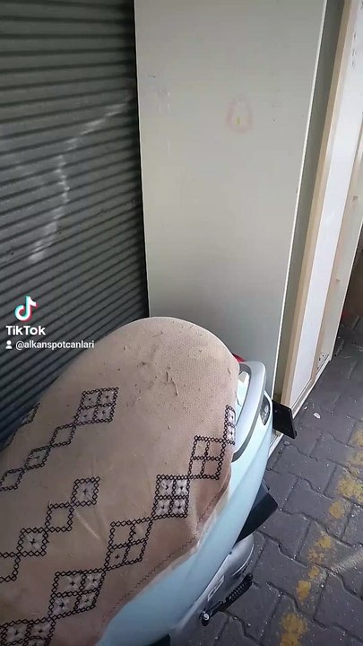 2024-03-22-200808567