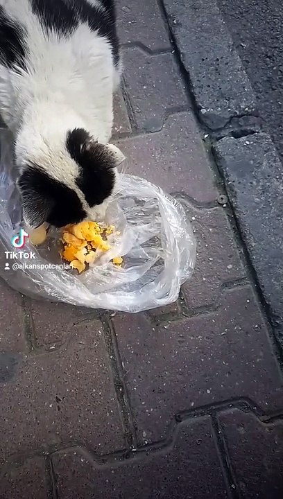 2024-03-22-094727125