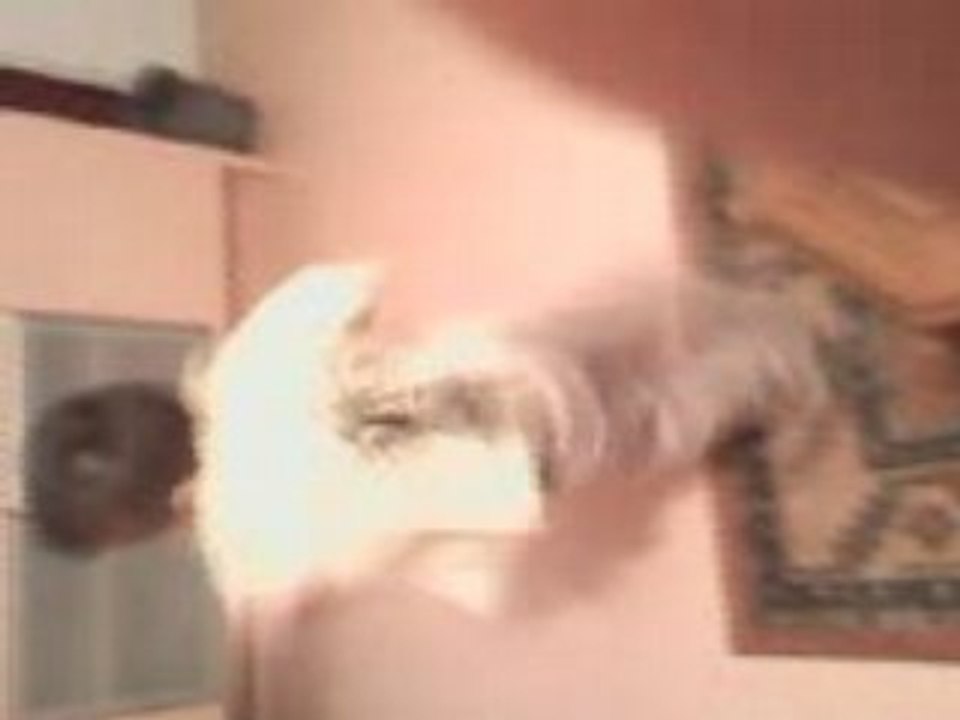 Lenny danse