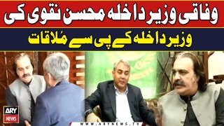 Interior Minister Mohsin Naqvi Meets CM KP Ali Amin Gandapur | Breaking News