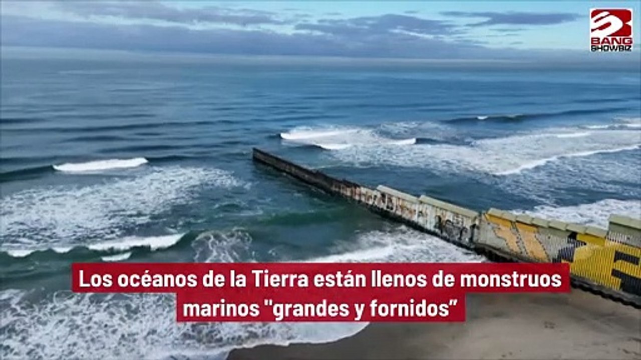 Los océanos de la Tierra están llenos de monstruos marinos 'grandes y fornidos'