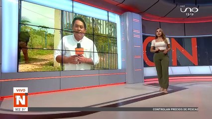 Allanan propiedad en Colpa Bélgica