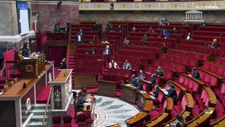 النواب الفرنسيون يصوتون على مشروع يحظر التمييز على ملمس الشعر وطوله ولونه وشكله