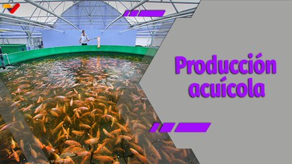 Al Día | Venezuela Come pescado